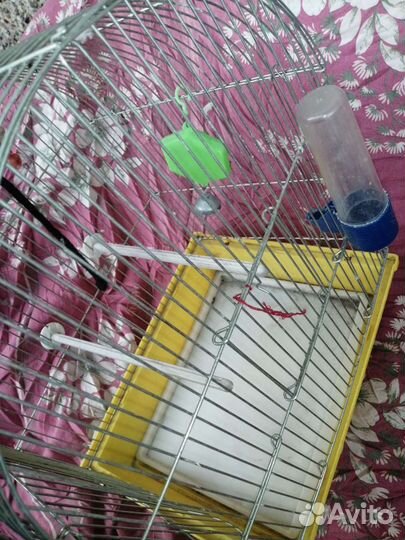 Клетка для попугая