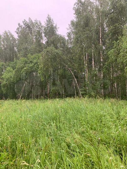 Участок 6,8 га (СНТ, ДНП)