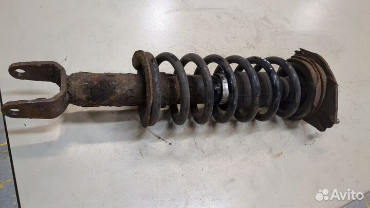 Амортизатор подвески Subaru Tribeca (B9), 2008