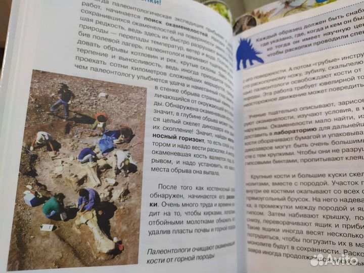 Энциклопедия динозавры