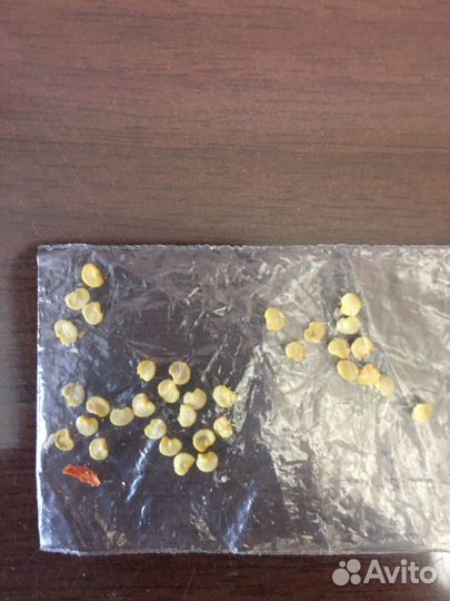 Семена перца острого Пиковая дама