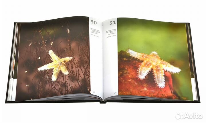 Фотоальбом 