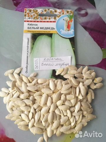 Семена кабачков очень ранних