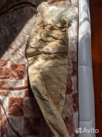 Шкурки кролика