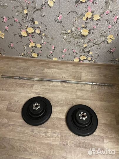 Штанга с блинами