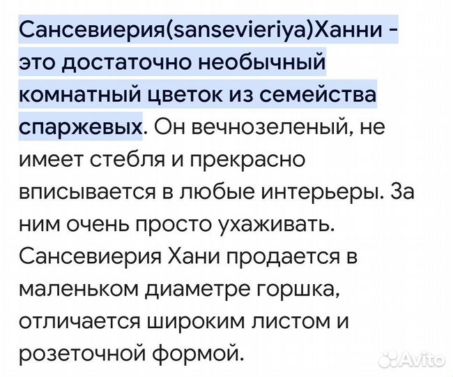 Сансевиерия ханни