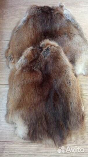 Шкурка ондатры