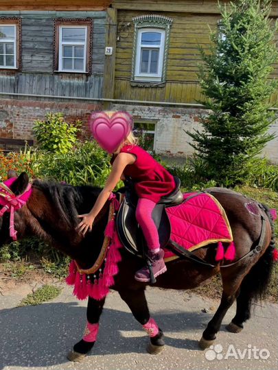 Прокат на лошади