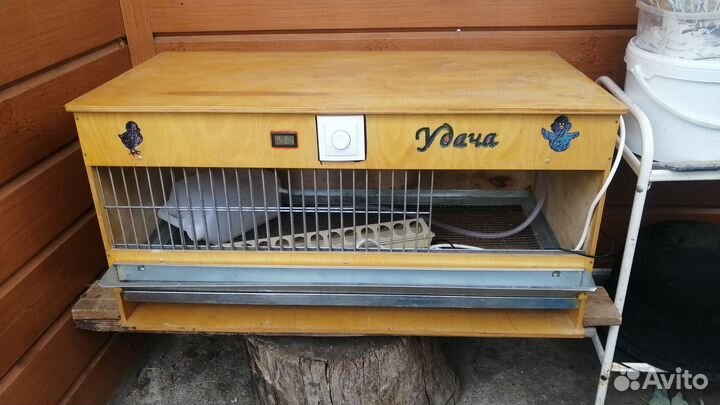 Брудер для цыплят