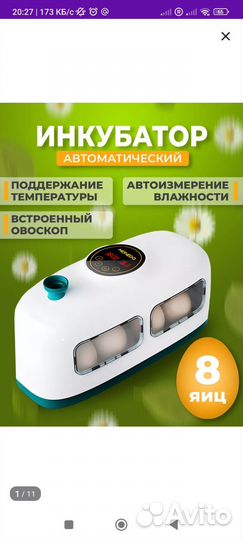 Домики, гнёзда, инкубатор