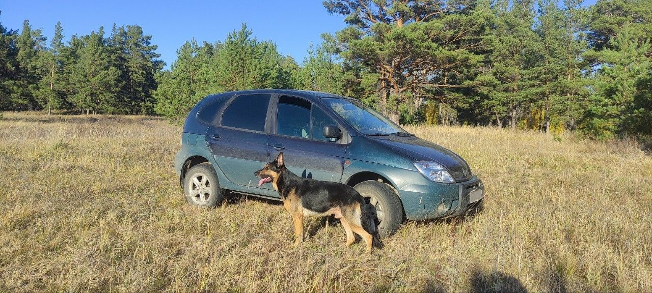 Renault Scenic RX4: фото из отзыва