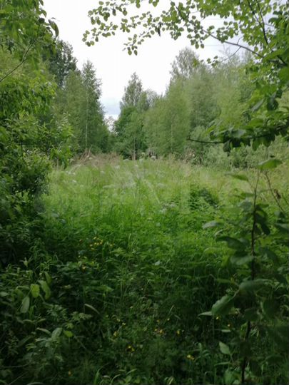 Участок 10 сот. (ИЖС)