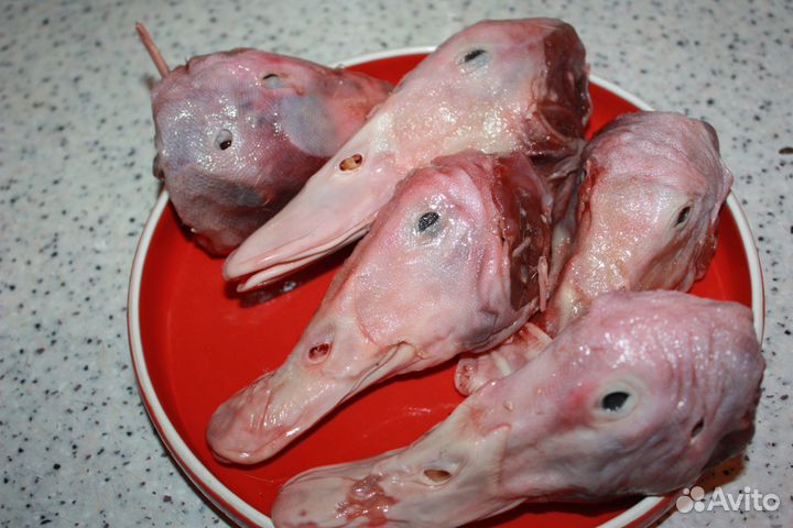 Мясо, корм для собак и кошек