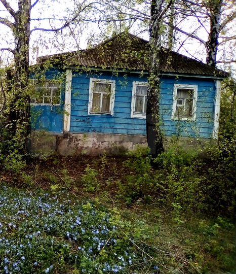 Дом 43 м² на участке 50 сот.