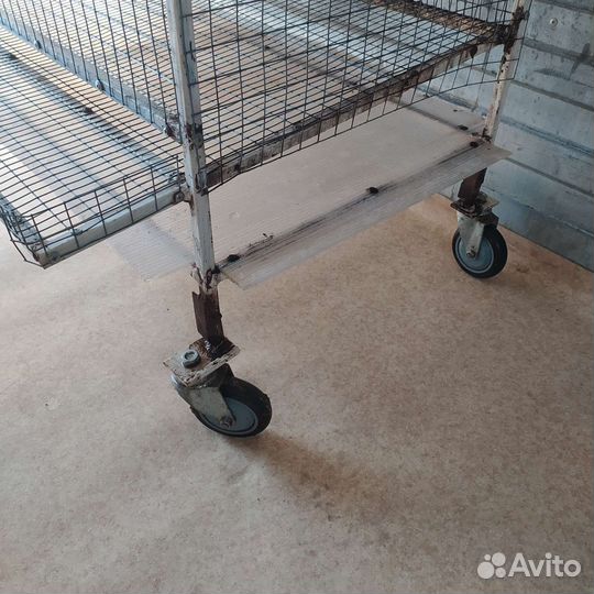 Клетки для перепелов