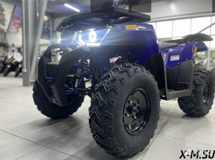 Квадроцикл promax wild 300