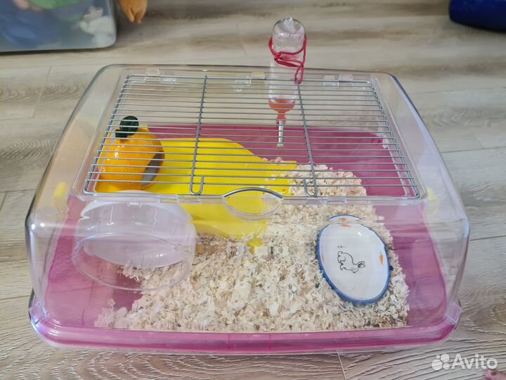 Джунгарский хомяк с клеткой