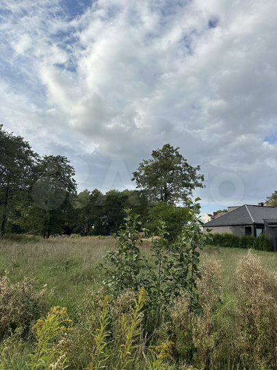 Участок 5,5 сот. (ИЖС)