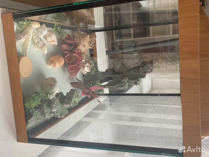 Аквариум для не больших рыбок