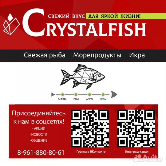 Салат Чука (упаковка 1 кг)