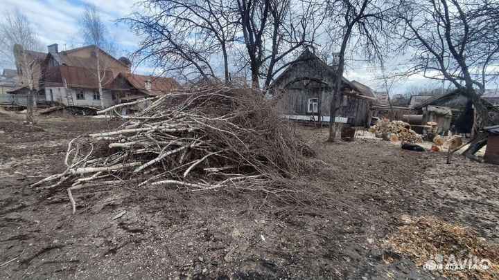 Спил деревьев Обрезка и измельчение веток