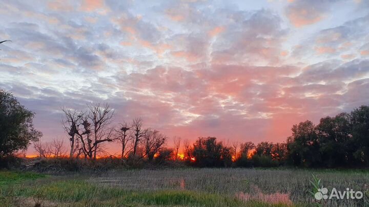 Курцхаар вязка