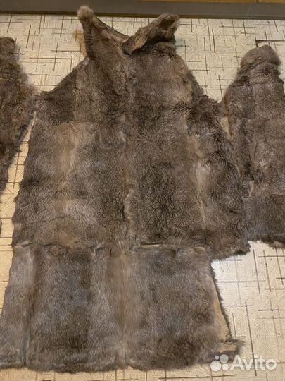 Шкуры кролика