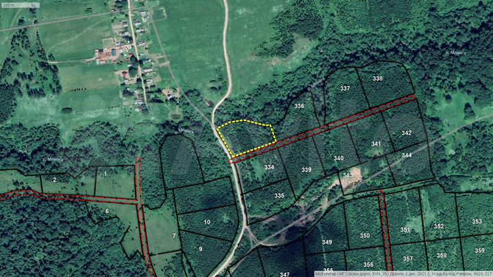 Участок 91,5 сот. (СНТ, ДНП)