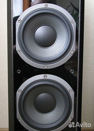 Focal Chorus 826 v