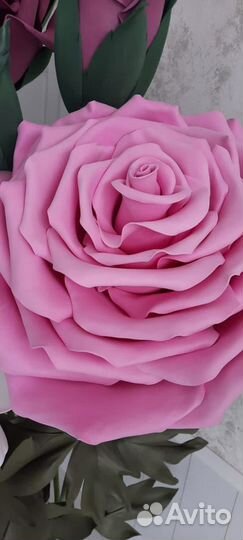 Композиция из ростовых цветов, Фотозона