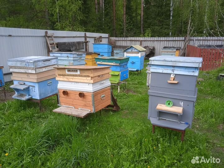Продам ульи для пчел