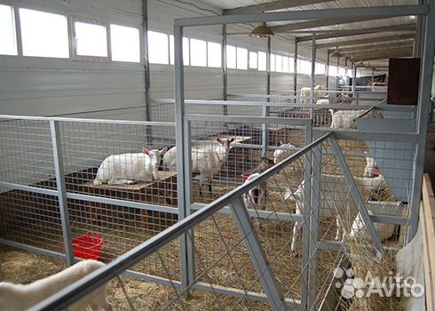 Строительство ферм