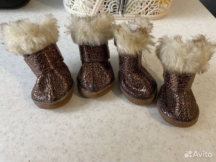 Сапоги для собак