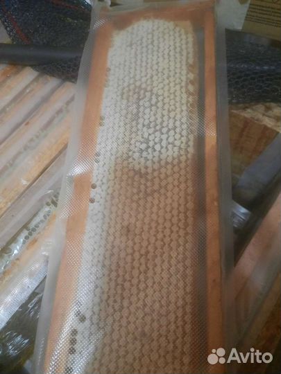 Мед в сотах 1,5кг