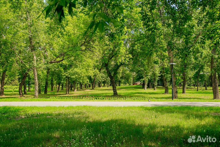 Разработка пмоос