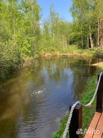 Платная рыбалка