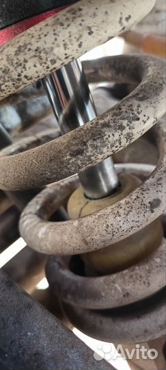 Gr2 250 (300) Optima