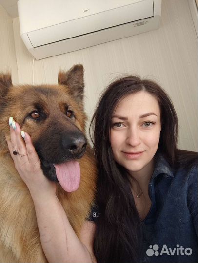 Груминг. Уход за животными