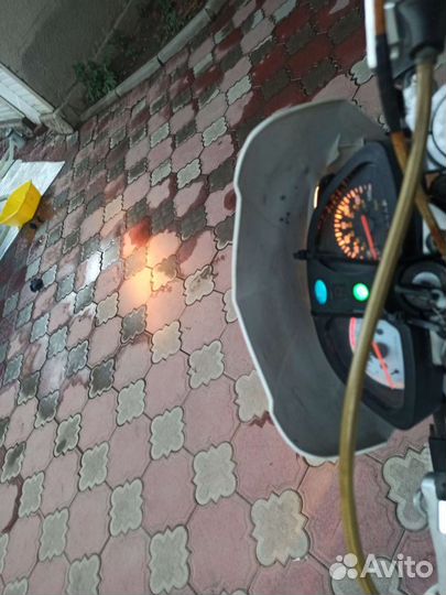 Ирбис TTR 250