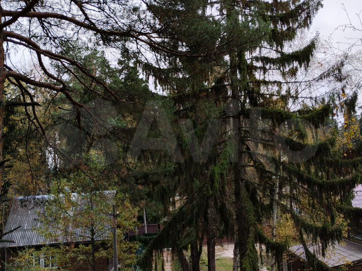 Участок 6 сот. (СНТ, ДНП)