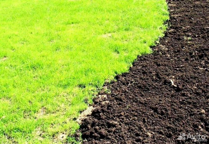 Чернозем земля торф