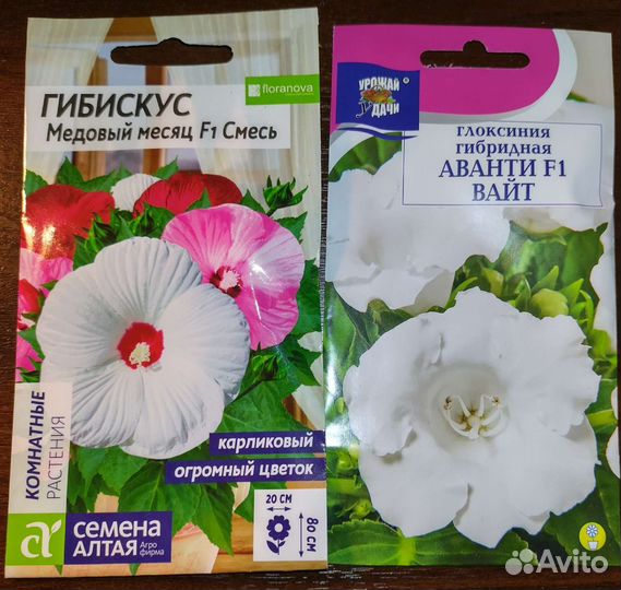 Семена Глоксиния и Гибискус