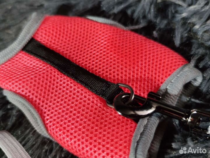 Шлейка для крыс