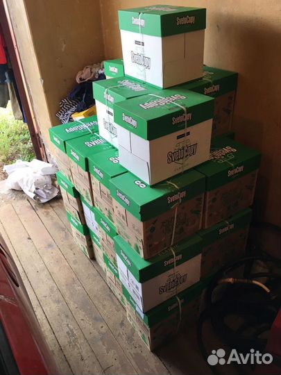 Офисная бумага svetocopy a4 (белая, оригинал)