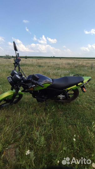 Racer Tiger 150-23