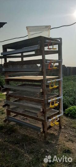 Клетки для перепелов