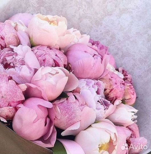 Пионы Цветы Доставка