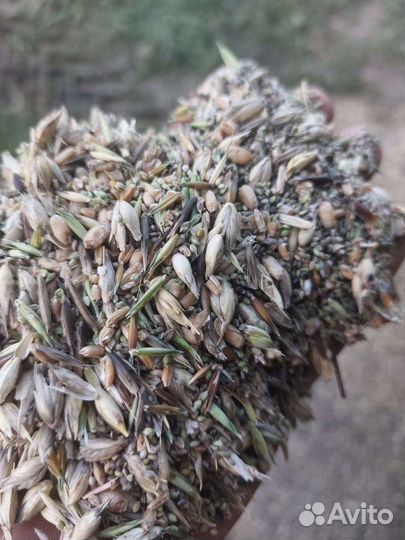 Зерноотходы