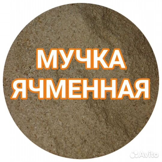 Мучка Ячменная