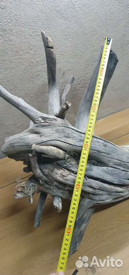 Булава карагач (гигант)